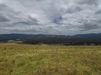 the mountain range is full of tall grass and wildflowers with the sky and clouds overhead