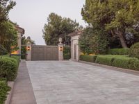 a driveway with bushes and trees in the background and a gate to one side of it