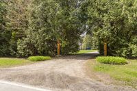 a driveway that has an orange gate on the end of it and surrounded by trees