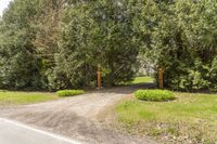 a driveway that has an orange gate on the end of it and surrounded by trees