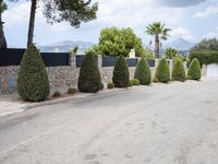 driveway with cars parked on it with trees and bushes on either side, with stone pillars