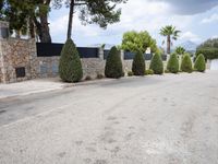 driveway with cars parked on it with trees and bushes on either side, with stone pillars