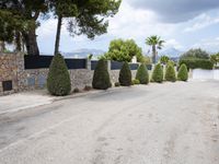 driveway with cars parked on it with trees and bushes on either side, with stone pillars