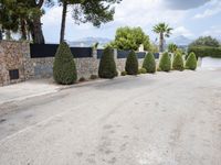 driveway with cars parked on it with trees and bushes on either side, with stone pillars