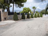 driveway with cars parked on it with trees and bushes on either side, with stone pillars