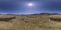 a view of the sun over the fields of dry grass, and there's a little stream in front