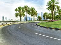 an empty highway with palm trees on both sides and buildings on the other side of the road