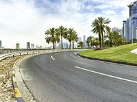 an empty highway with palm trees on both sides and buildings on the other side of the road