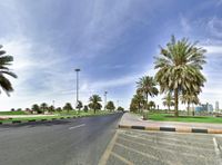 an empty street is lined with palm trees, and is next to some green grass