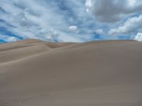 Dunes of Colorado: The Beauty of Sandy Nature in the Daylight