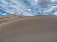 Dunes of Colorado: The Beauty of Sandy Nature in the Daylight