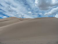 Dunes of Colorado: The Beauty of Sandy Nature in the Daylight