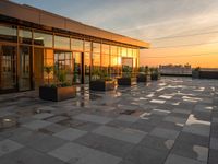 large brick tiles with potted plants on them at dusk in a building with sunset