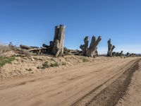 the road is dusty and dirted and there are many log stumps in the field