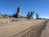 the road is dusty and dirted and there are many log stumps in the field