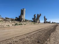 the road is dusty and dirted and there are many log stumps in the field