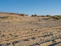 sand and grass on a beach with fence in the background near to it and small rock formations and sand mounds