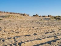 sand and grass on a beach with fence in the background near to it and small rock formations and sand mounds