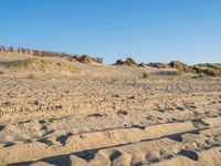 sand and grass on a beach with fence in the background near to it and small rock formations and sand mounds