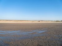 a single black and white dog walking across an empty beach near some sand and grass