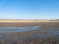 a single black and white dog walking across an empty beach near some sand and grass