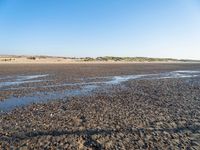 a single black and white dog walking across an empty beach near some sand and grass