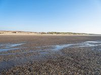 a single black and white dog walking across an empty beach near some sand and grass