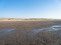 a single black and white dog walking across an empty beach near some sand and grass