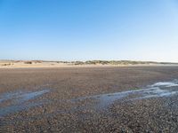 a single black and white dog walking across an empty beach near some sand and grass