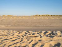 Dutch Dawn on the Beach: Holland, Netherlands