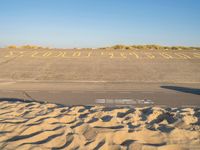 Dutch Dawn on the Beach: Holland, Netherlands