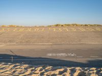 Dutch Dawn on the Beach: Holland, Netherlands