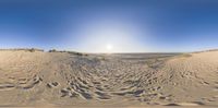 a fisheye view of the desert, sand and horizon from a very low perspective