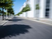 Dynamic View: Straight Road in an Urban Environment