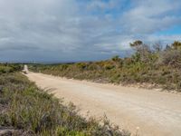 an empty dirt road surrounded by grass and shrubs with clouds over it and a sky full of blue in the background