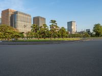 Edo Park in Tokyo, Japan: A Cityscape Blend of Greenery