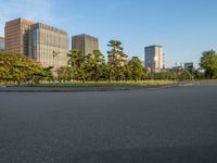 Edo Park in Tokyo, Japan: A Cityscape Blend of Greenery