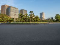 Edo Park in Tokyo, Japan: A Cityscape Blend of Greenery