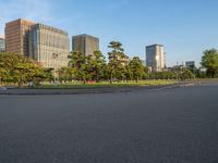 Edo Park in Tokyo, Japan: A Cityscape Blend of Greenery