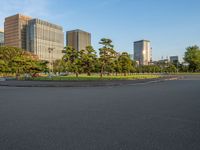 Edo Park in Tokyo, Japan: A Cityscape Blend of Greenery