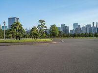 Edo Park in Tokyo, Japan: Dawn Urban Skyline