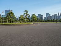 Edo Park in Tokyo, Japan: Dawn Urban Skyline