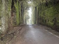 Eerie Landscape: Wet Road in Tenerife