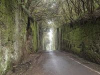 Eerie Landscape: Wet Road in Tenerife