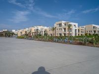 Egypt's Coastal Architecture: Palm Trees by the Beach