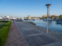 Egypt's Coastal Harbor: Pier and Marina Views