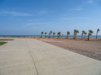 Egypt's Coastal Landscape: Palm Tree-Lined Road