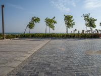 Egypt Coastal Road Overlooking Ocean