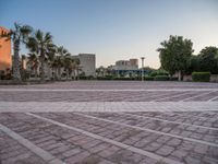 Egypt's Residential Area with Classic Architecture