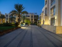 an empty courtyard with steps leading to apartments and palm trees, at dusk, in the city of doha